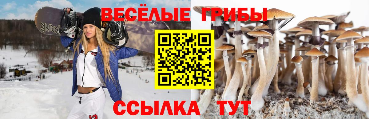 Псков  Псилоцибиновые грибы мицелий  Вход с VPN 